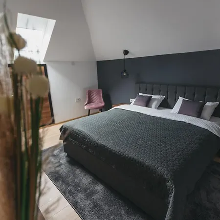 Centar House Ni